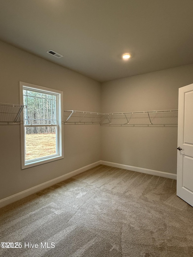 spacious closet featuring carpet floors
