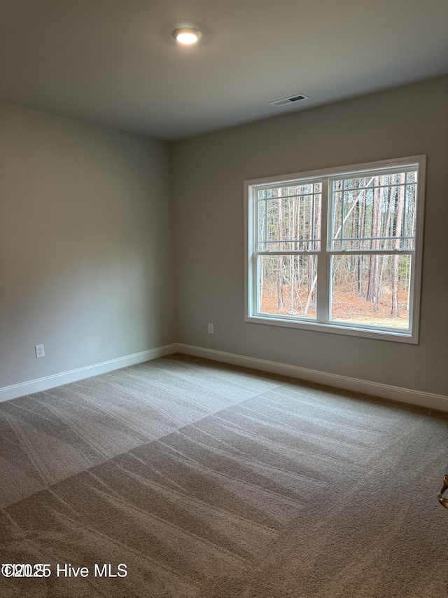 carpeted spare room featuring healthy amount of natural light and baseboards