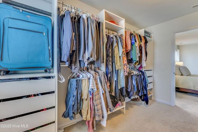 815 Avington Ln NE, Leland, NC 28451 - spacious closet with carpet floors