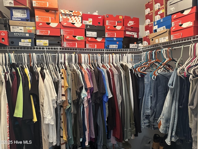 view of spacious closet