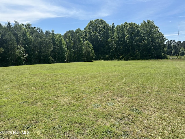 view of green lawn