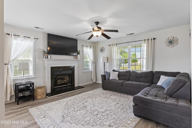 112 Silver Queen Ln, Richlands, NC 28574 - living area featuring ceiling fan, wood finished floors, a high end fireplace, and baseboards