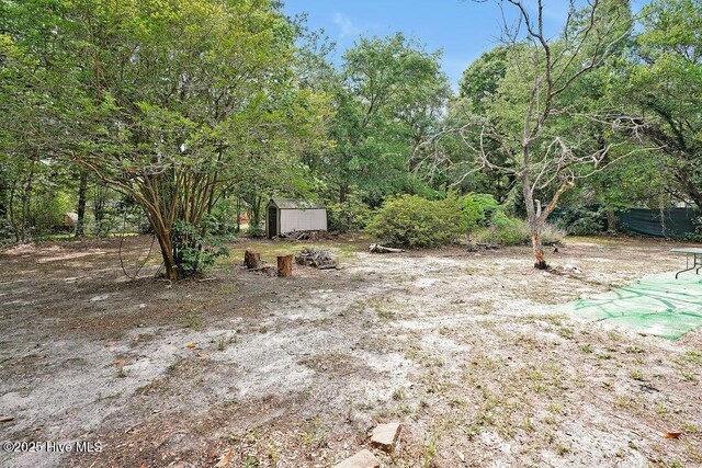 326 Spartan Rd, Wilmington, NC 28405 - view of yard with a storage unit and an outbuilding