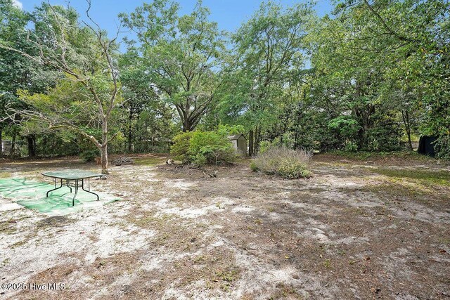 326 Spartan Rd, Wilmington, NC 28405 - view of yard