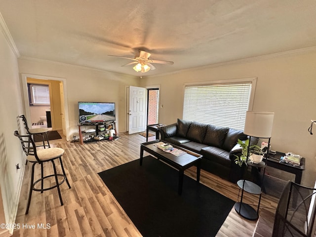 303 S Andrews Ave, Goldsboro, NC 27530 - living room featuring crown molding, wood finished floors, ceiling fan, and baseboards