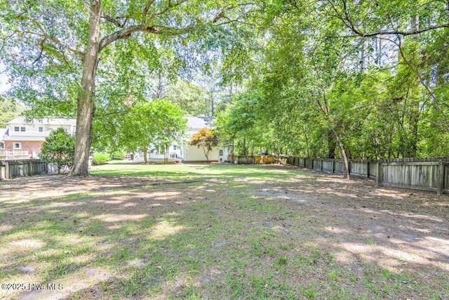 2428 Tram Rd, New Bern, NC 28562 - view of yard