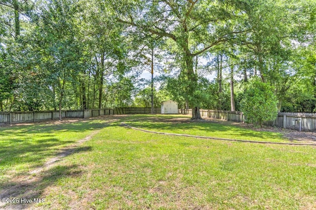 2428 Tram Rd, New Bern, NC 28562 - view of yard