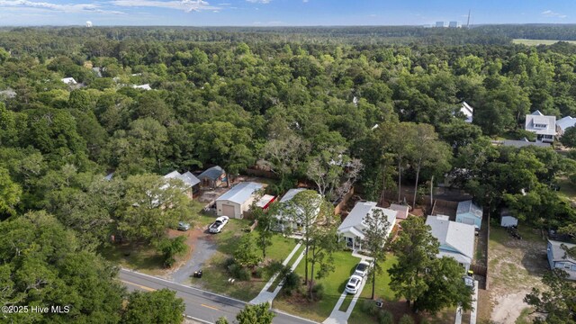 492 Jabbertown Rd, Southport, NC 28461 - aerial view of property's location featuring a forest