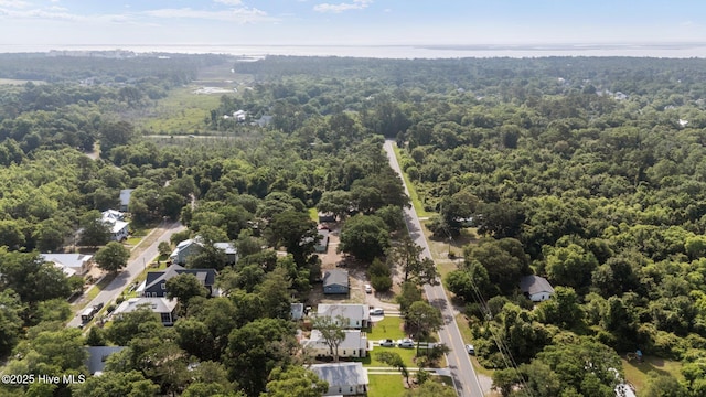 492 Jabbertown Rd, Southport, NC 28461 - bird's eye view of a heavily wooded area