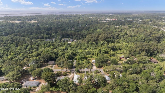 492 Jabbertown Rd, Southport, NC 28461 - view of property location featuring a forest