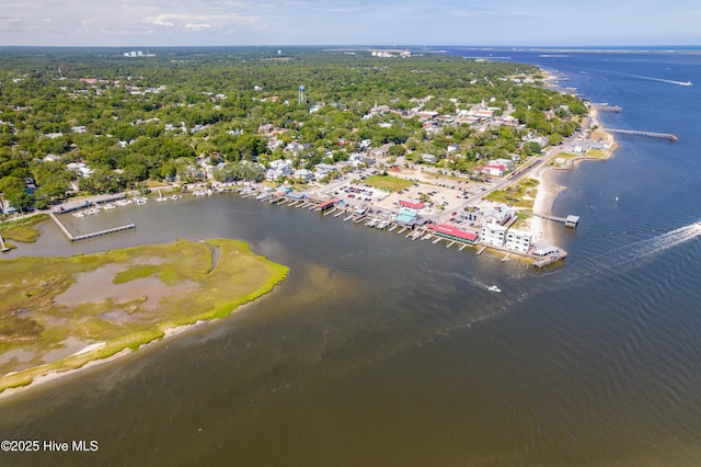 492 Jabbertown Rd, Southport, NC 28461 - bird's eye view of a large body of water