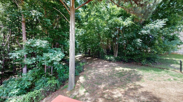 44 Nassau Ct, Clayton, NC 27520 - view of yard
