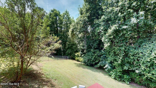 44 Nassau Ct, Clayton, NC 27520 - view of yard
