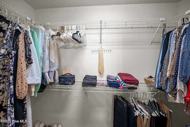 531 S NC Highway 343, Camden, NC 27921 - view of walk in closet