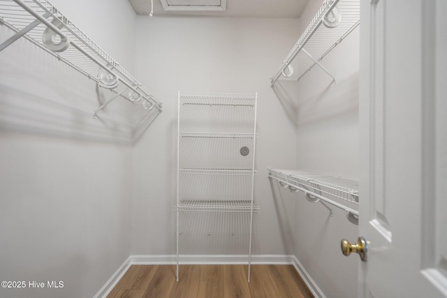 1424 Elgin St, Wilmington, NC 28409 - walk in closet with wood finished floors