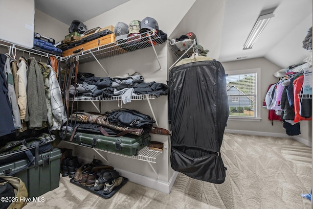 285 Mimosa Dr, Sneads Ferry, NC 28460 - spacious closet with carpet and lofted ceiling
