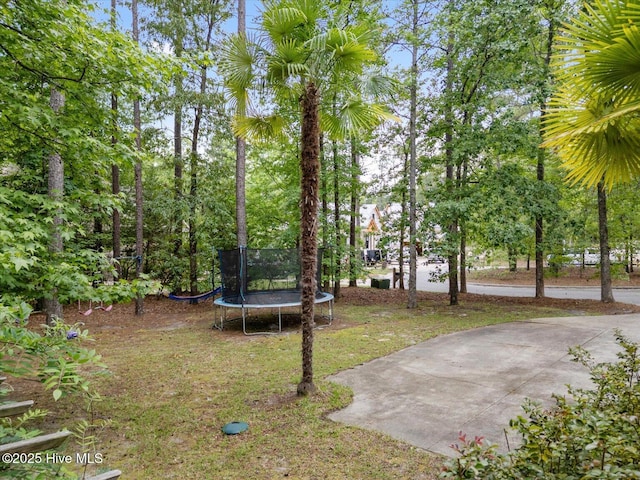 10196 Flint Ct SE, Leland, NC 28451 - view of green lawn featuring a trampoline