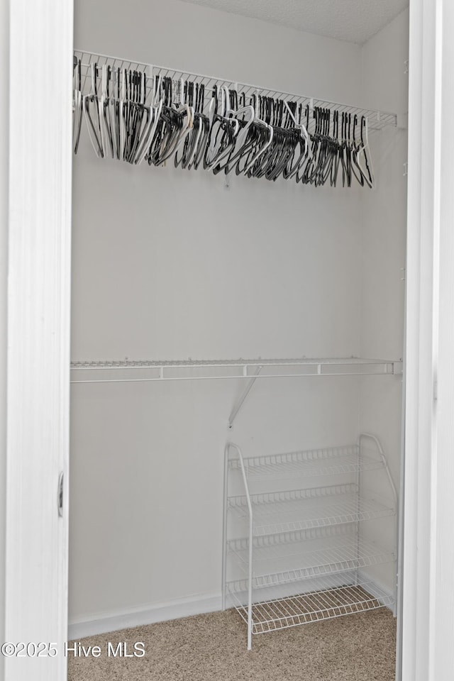 510 Greenfield Pl, Sneads Ferry, NC 28460 - spacious closet featuring carpet flooring