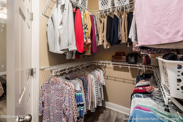 118 Hill Creek Rd, Blounts Creek, NC 27814 - view of spacious closet