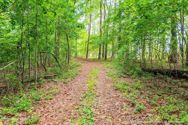 118 Hill Creek Rd, Blounts Creek, NC 27814 - view of woods