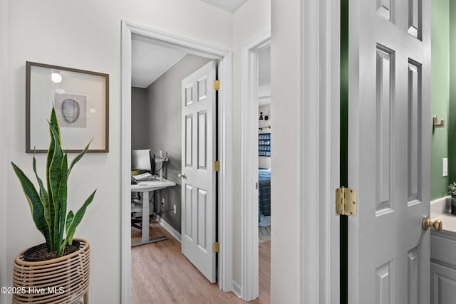 415 Point View Ct, Wilmington, NC 28411 - hall featuring light wood-style flooring, a desk, baseboards, and a textured ceiling