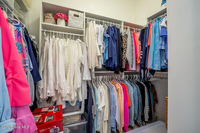 4010 Sienna Trl, New Bern, NC 28562 - view of walk in closet