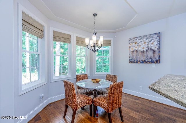 4010 Sienna Trl, New Bern, NC 28562 - dining room with a chandelier, healthy amount of natural light, dark wood-style floors, and baseboards
