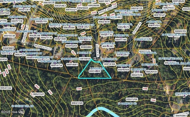 7 Saddle Pl, Pinehurst, NC 28374 - map / location