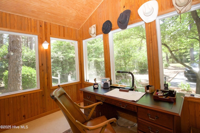 7 Saddle Pl, Pinehurst, NC 28374 - office with lofted ceiling and wooden walls