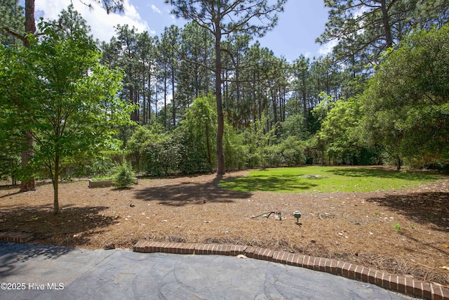 7 Saddle Pl, Pinehurst, NC 28374 - view of grassy yard