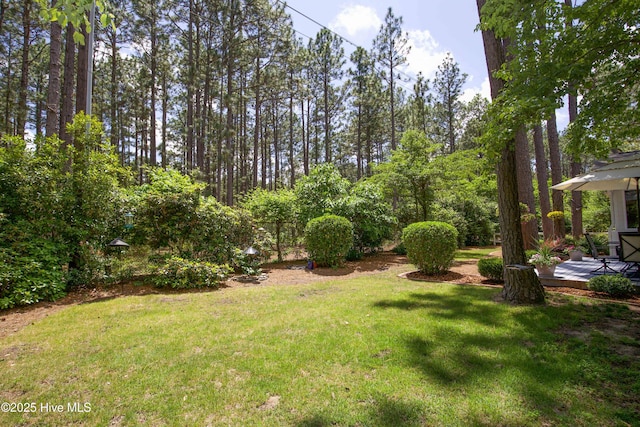 7 Saddle Pl, Pinehurst, NC 28374 - view of green lawn