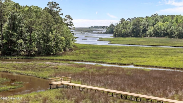 101 Marshview Rd, Hampstead, NC 28443 - water view with a dock