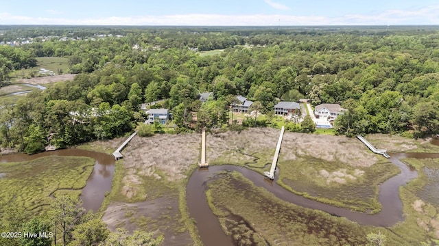 101 Marshview Rd, Hampstead, NC 28443 - view of property location with a heavily wooded area and a large body of water