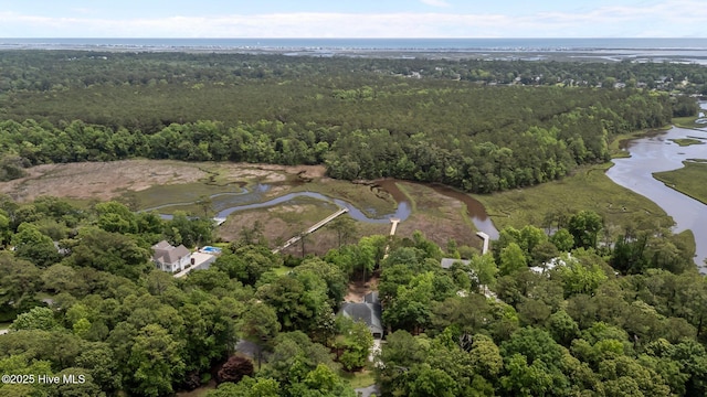 101 Marshview Rd, Hampstead, NC 28443 - aerial view of property's location with a heavily wooded area and a nearby body of water