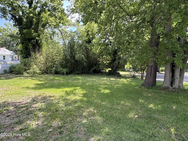 107 Rockingham Rd, Rockingham, NC 28379 - view of green lawn