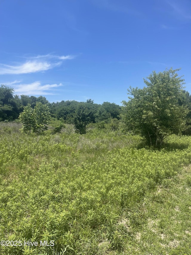 0 Easy St Unit 4, La Grange, NC 28551