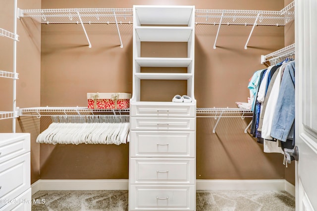 207 Hooping Crane Ln, Goldsboro, NC 27530 - spacious closet with carpet