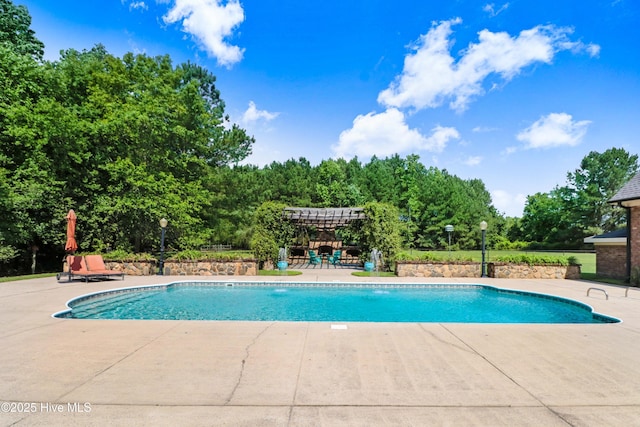 207 Hooping Crane Ln, Goldsboro, NC 27530 - swimming pool with a pergola and a patio