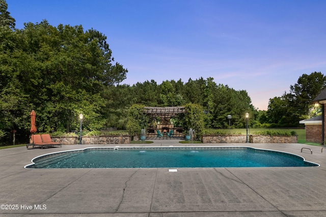207 Hooping Crane Ln, Goldsboro, NC 27530 - outdoor pool with a pergola and a patio area
