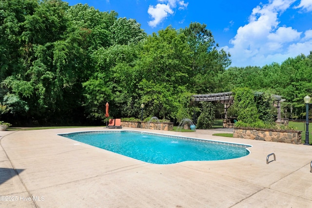 207 Hooping Crane Ln, Goldsboro, NC 27530 - outdoor pool with a patio and a pergola