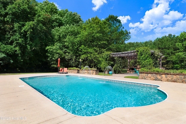 207 Hooping Crane Ln, Goldsboro, NC 27530 - swimming pool featuring a pergola and a patio area