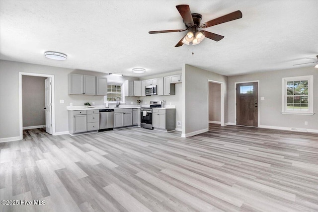 1102 Elanor Ave, Goldsboro, NC 27530 - kitchen with appliances with stainless steel finishes, gray cabinets, a ceiling fan, a sink, and light countertops