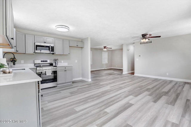1102 Elanor Ave, Goldsboro, NC 27530 - kitchen featuring appliances with stainless steel finishes, a sink, a ceiling fan, gray cabinets, and light wood-style flooring