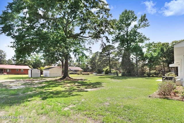 1102 Elanor Ave, Goldsboro, NC 27530 - view of yard