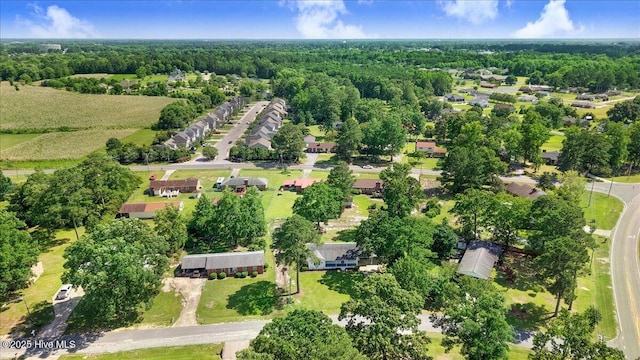 1102 Elanor Ave, Goldsboro, NC 27530 - aerial overview of property's location featuring nearby suburban area and a forest