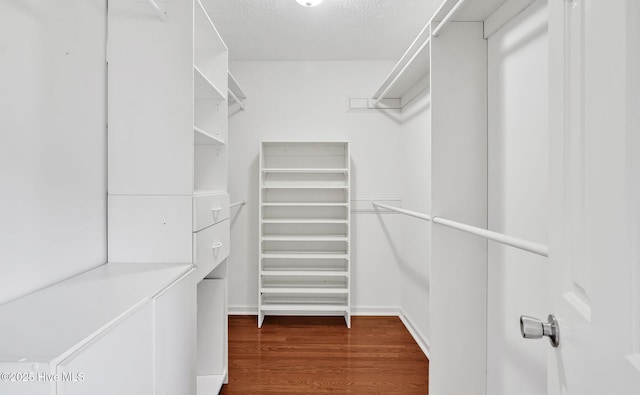 416 Point View Ct, Wilmington, NC 28411 - walk in closet with wood finished floors