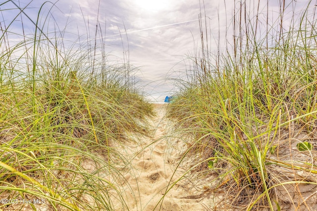 562 Anchor Way, Kure Beach, NC 28449 - view of local wilderness