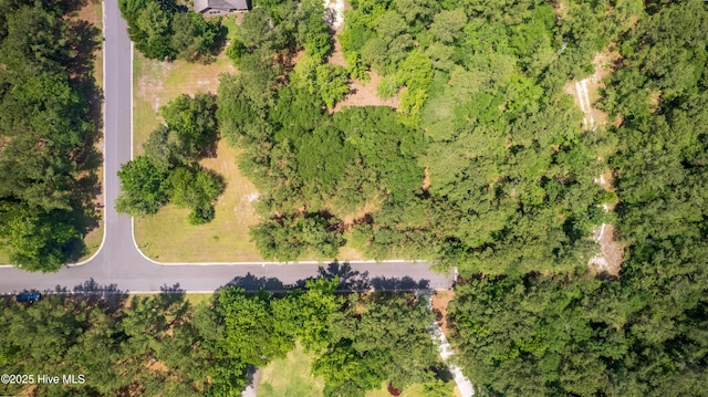 104 River Woods Dr, Wallace, NC 28466