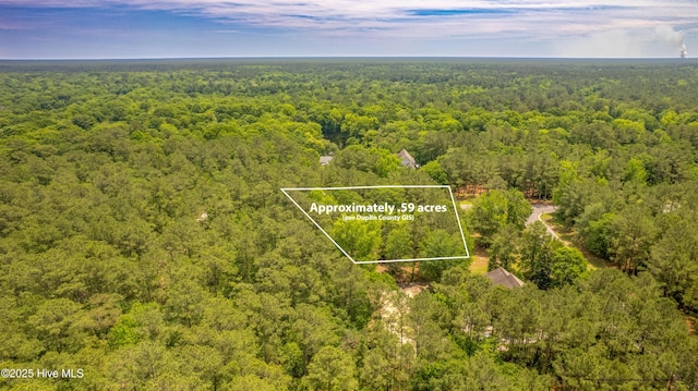 104 River Woods Dr, Wallace, NC 28466