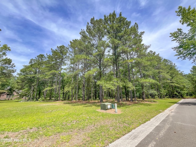 104 River Woods Dr, Wallace, NC 28466